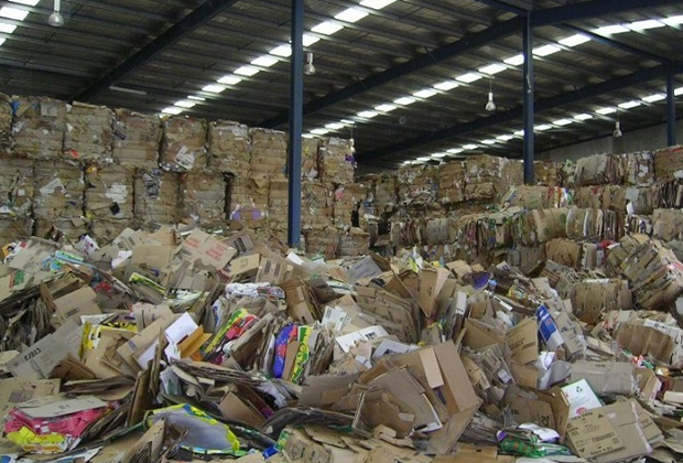 Thu mua giấy phế liệu và lợi ích của việc tái chế giấy phế liệu