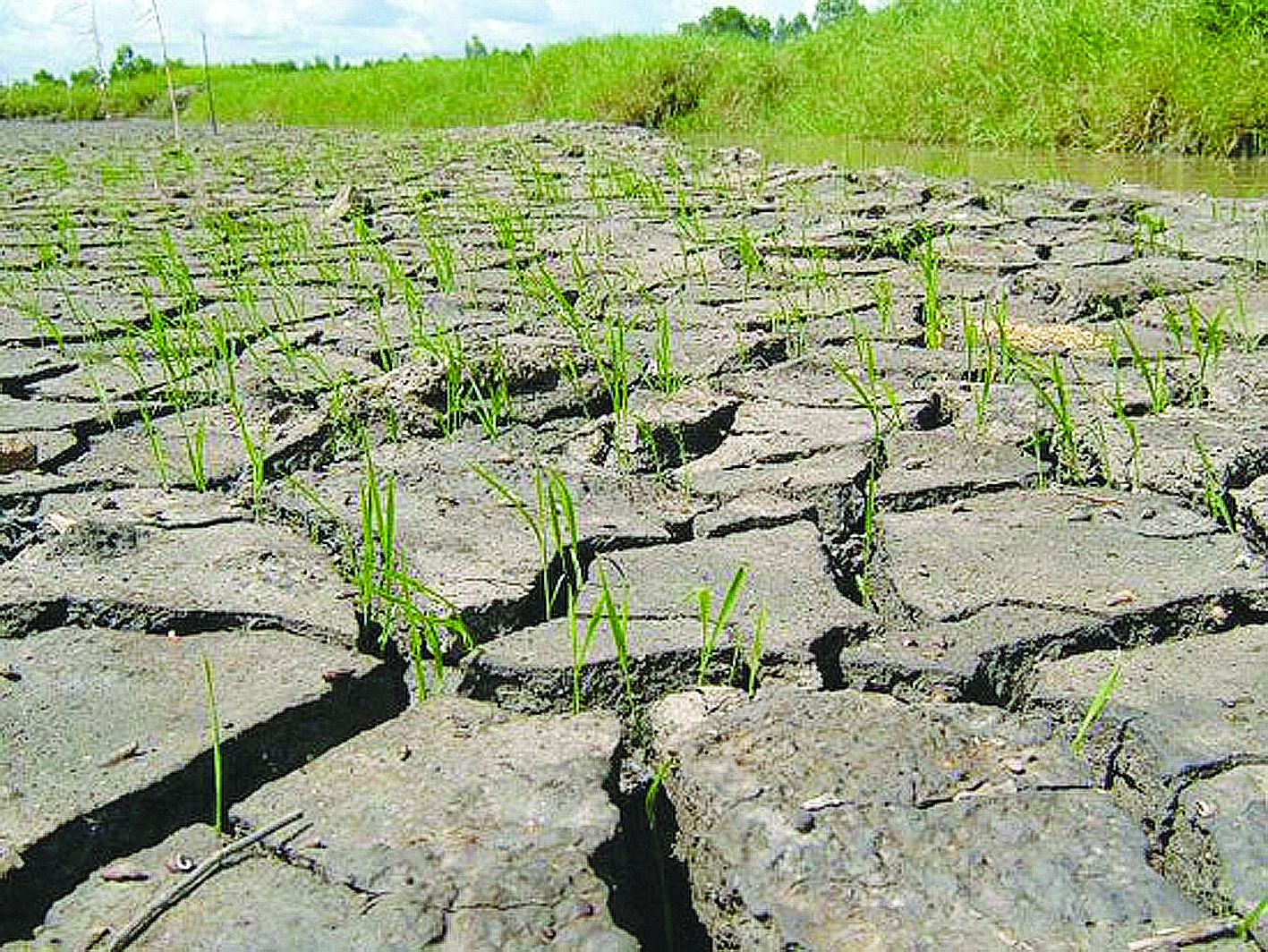 Nghiên cứu ảnh hưởng của biến đổi khí hậu tới kinh tế nông nghiệp Việt Nam  - Tạp chí Tài chính